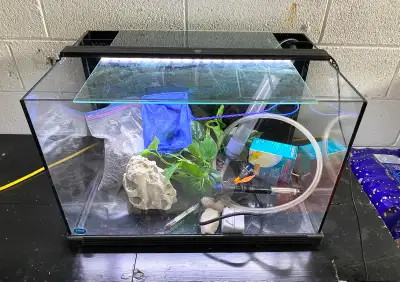 25 Gallon Rimless Fish Tank Complete Setup, View more