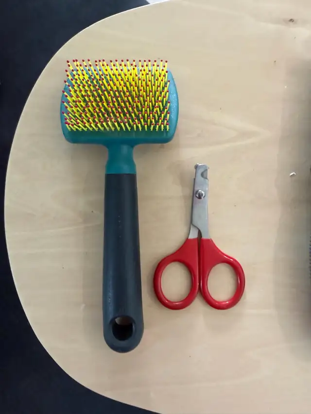 Cat or Small Dog Brush + Nail Clippers in Health & Special Needs in Bedford - Image 2