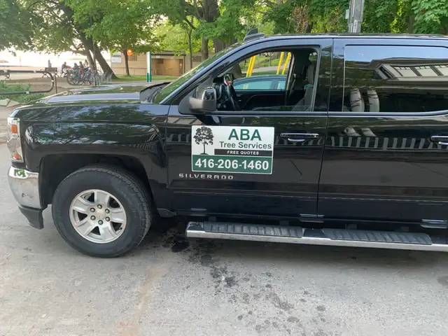 Tree Removal | Pruning | Fully Insured | (416) 206-1460 in Lawn, Tree Maintenance & Eavestrough in City of Toronto - Image 3