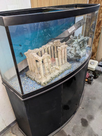 Fish tank for sale 50 gal