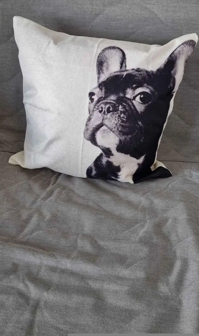 New pillow cases 2 for 30 in Couches & Futons in Calgary - Image 5