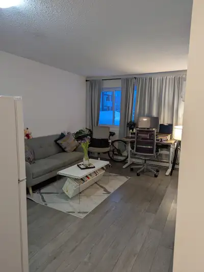 420 Boulevard de la Cité-des-Jeunes, Gatineau, QC J8Z 1L3 Rent: $995 per month (includes hydro, heat...