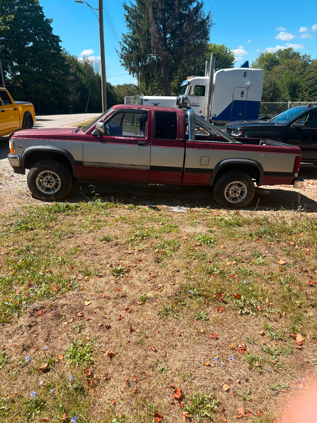 1995 Dodge Dakota in Cars & Trucks in Oakville / Halton Region - Image 3
