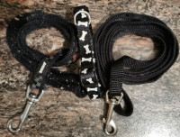 6ft / 4ft Dog leash's, collar 8$ FOR EVERYTHING