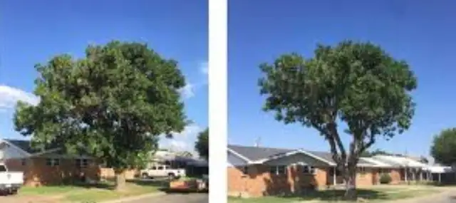 ISO of Running Vehicle! in Other in Red Deer - Image 7