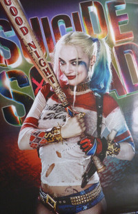 Framed Suicide Squad posters-brand new-on sale!