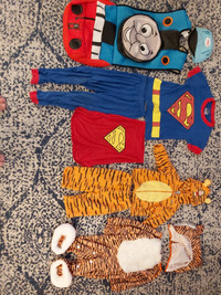 HALLOWEEN COSTUMES DC SUPERMAN & TIGER SUIT