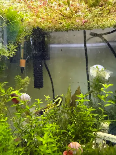 Aquarium , View more
