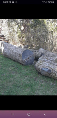 Ash logs