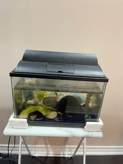 Fish Tank / Aquarium for Sale, View more