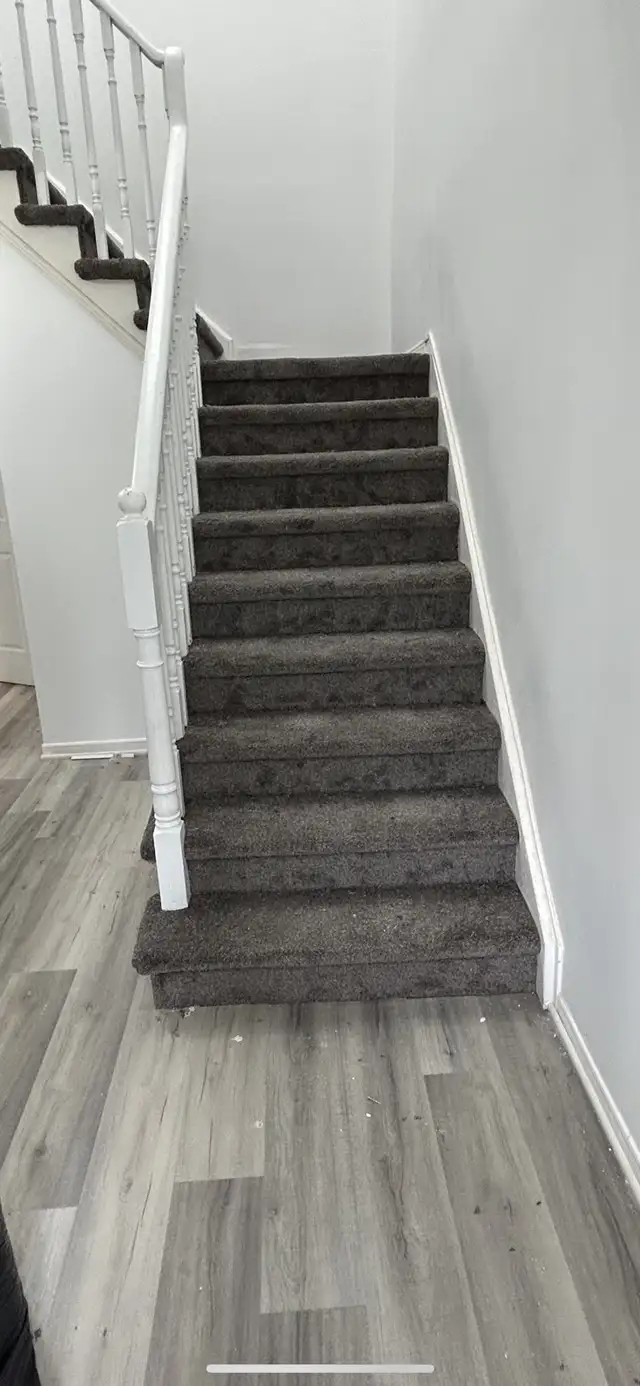 Expert Carpet Installation 64840206016001122