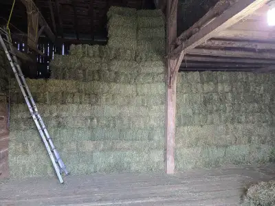 2026 Hay Small Squares 1st cut, View more