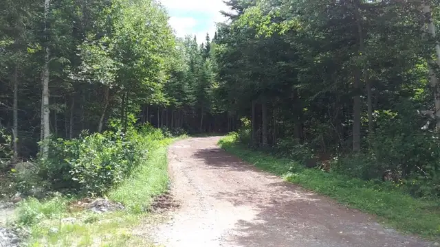 Free Off Grid Living Opportunity