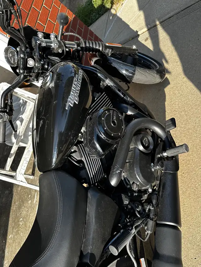 2018 Harley street 750 in Street, Cruisers & Choppers in Edmonton - Image 3