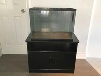 20 Gallon fish tank and stand