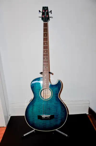 Vantage Acoustic Electric Bass With A Hard Case, View more