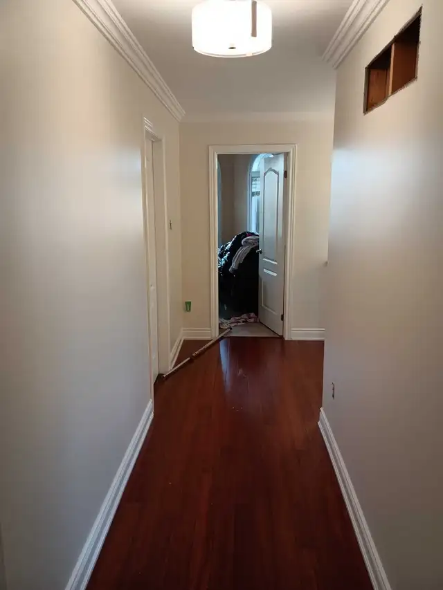 Professional Painting - Fair Pricing 539353960751441924
