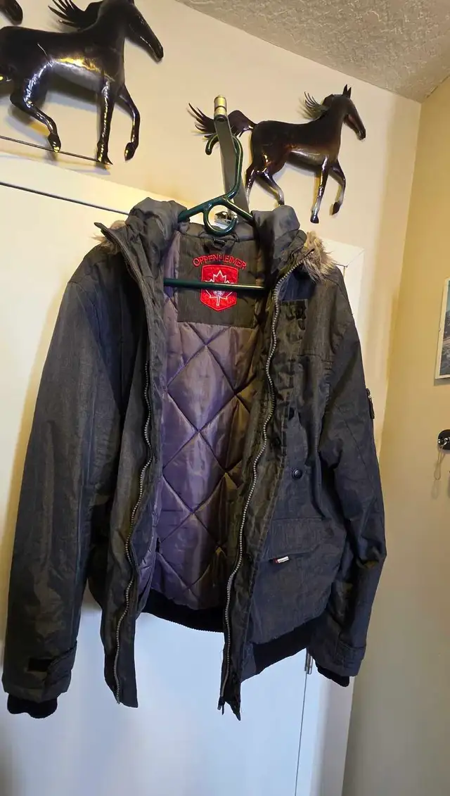 oppenheimer parka in Men's in Calgary - Image 3