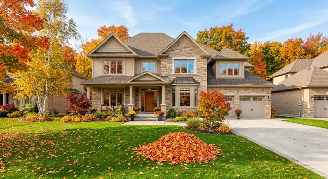 PROFESSIONAL WINDOW WASH/SNOW CLEANING/LEAFS