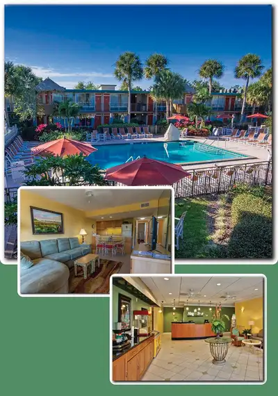Magictreeflordia.com 2 minutes from Disney. I bedroom sleeps 4 & 2 bedroom sleeps 6. Heated pools &...