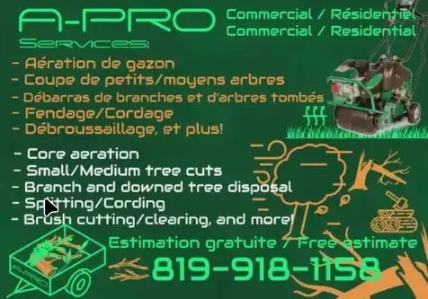 Small/Medium Tree cuts, Branch removal, Brush cutting,.