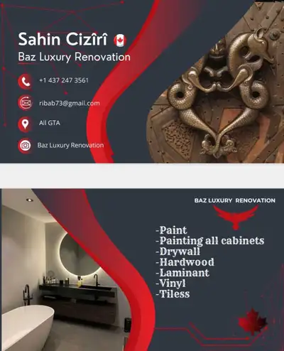 Professional Renovation , View more