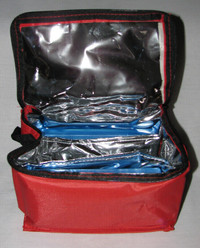 Small Cooler Travel Tote Bag with Freezer Packs New