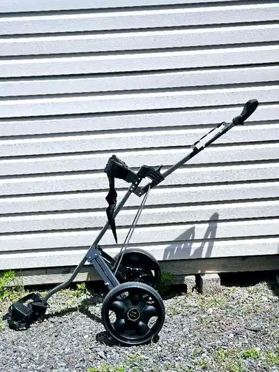 TeeMate Classic Push Golf Gart. Great condition and rides well.