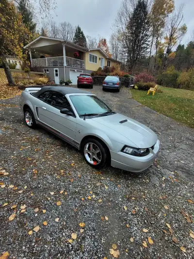 Mustang 1999 40e anniversaire convertible automatique 3.8 litres Toute Équipées Avec 94300 Kilomètre...