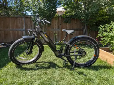 RadRover 6 Plus Step-Thru Electric Fat Tire Bike $1400, View more