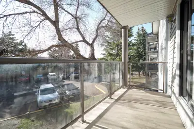 Large 1 bedroom unit at 12005 25 Ave NW . June rent is free