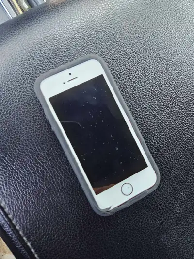 Iphone SE Unlocked. mint condition.   case and cable included. , View more