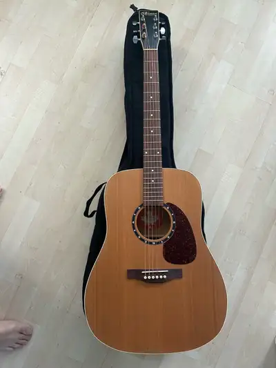 Norman Acoustic/Electric Guitar (Protege B18) & Case, View more