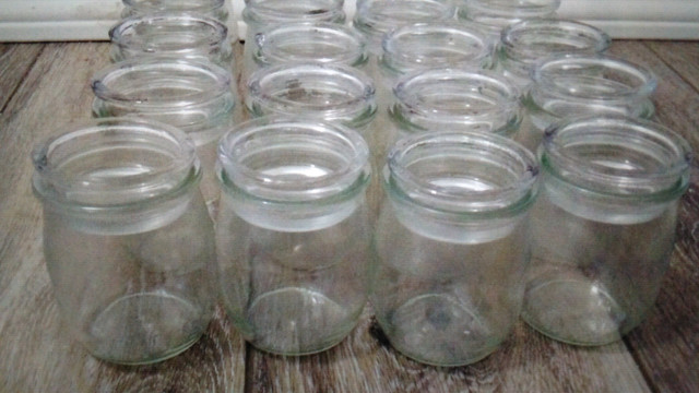 Yogurt jar with lid , 50 cents each , never break in boil water  in Hobbies & Crafts in Calgary