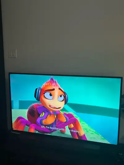 55 inch TV Seki , View more