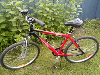 Infinity Mountain Bike, View more