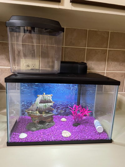 Selling this Aquarium set. Asking $100 No damage. Everything in excellent condition. Used for only 4...