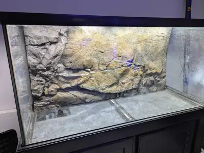 3D Aquarium and Terrarium Backgrounds , View more