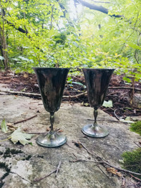 Brass Chalices 