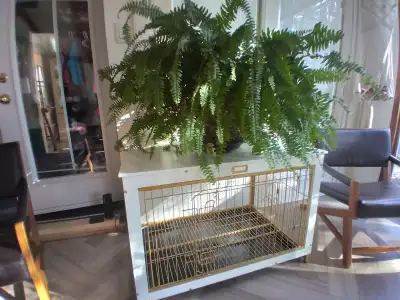 Medium Size Stylish Dog Crate, View more