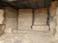 Large square hay