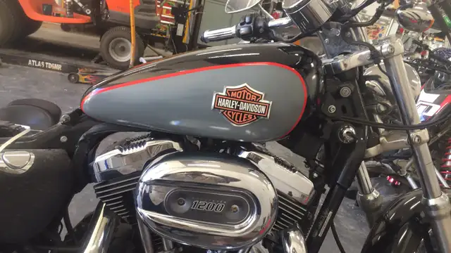 2006 Harley 1200c sportster in Street, Cruisers & Choppers in Stratford - Image 6