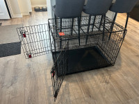 Kong dog cage and Pee pad holder 