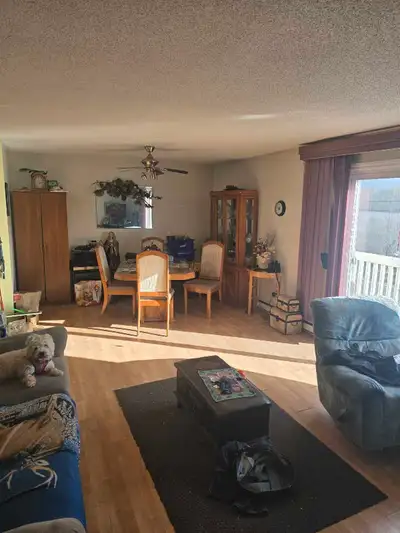 Une belle chambre a loué acces a tout l'appartement, chauffé/eclairé, wifi, cable inclus, endroit tr...