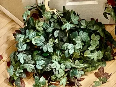 Artificial Plants, View more