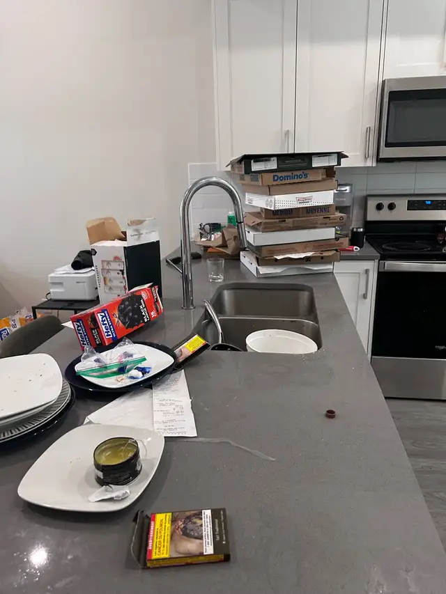  Professional Cleaning Services533461935504773122