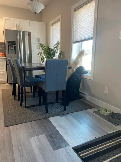 Room for Rent – Whistle Bend, Whitehorse Available: One private bedroom and shared bathroom in a mod...