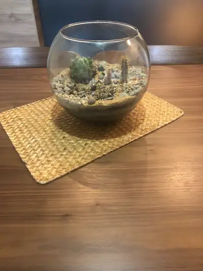 Aquarium ou Terrarium Boule 9 pouces, View more