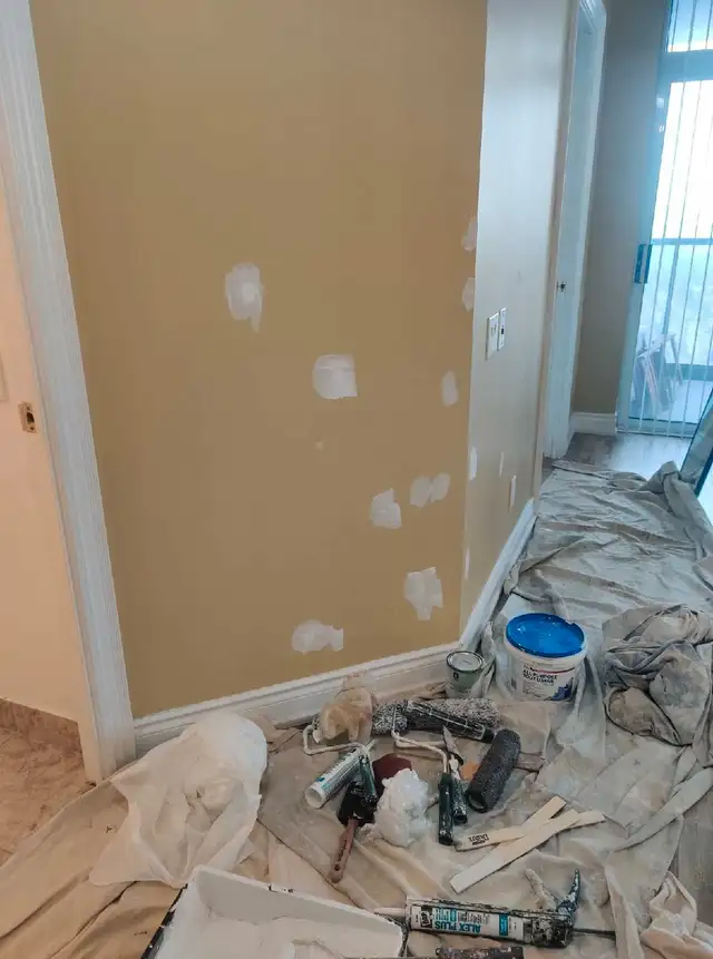 If you are looking for a professional painter62866659505921122