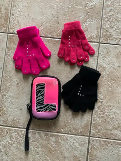 Electronic Zip case and Gloves with L on it , View more
